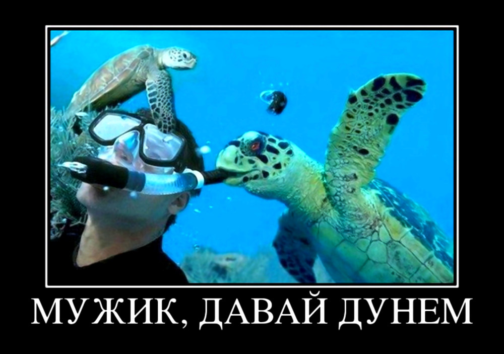 Давай дунем