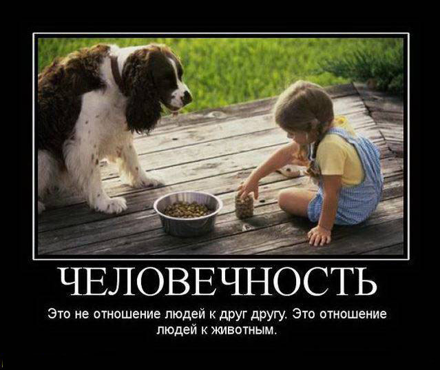 Человечность