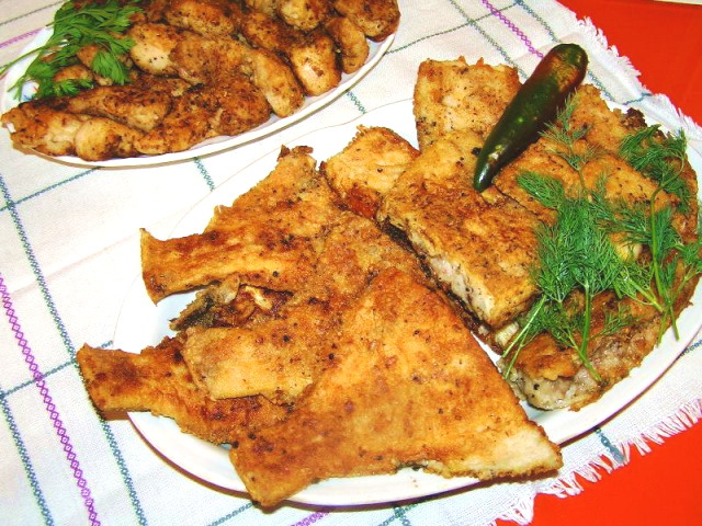 камбаланатюрморд)))))))