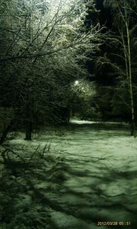 Дорога на работу)))))