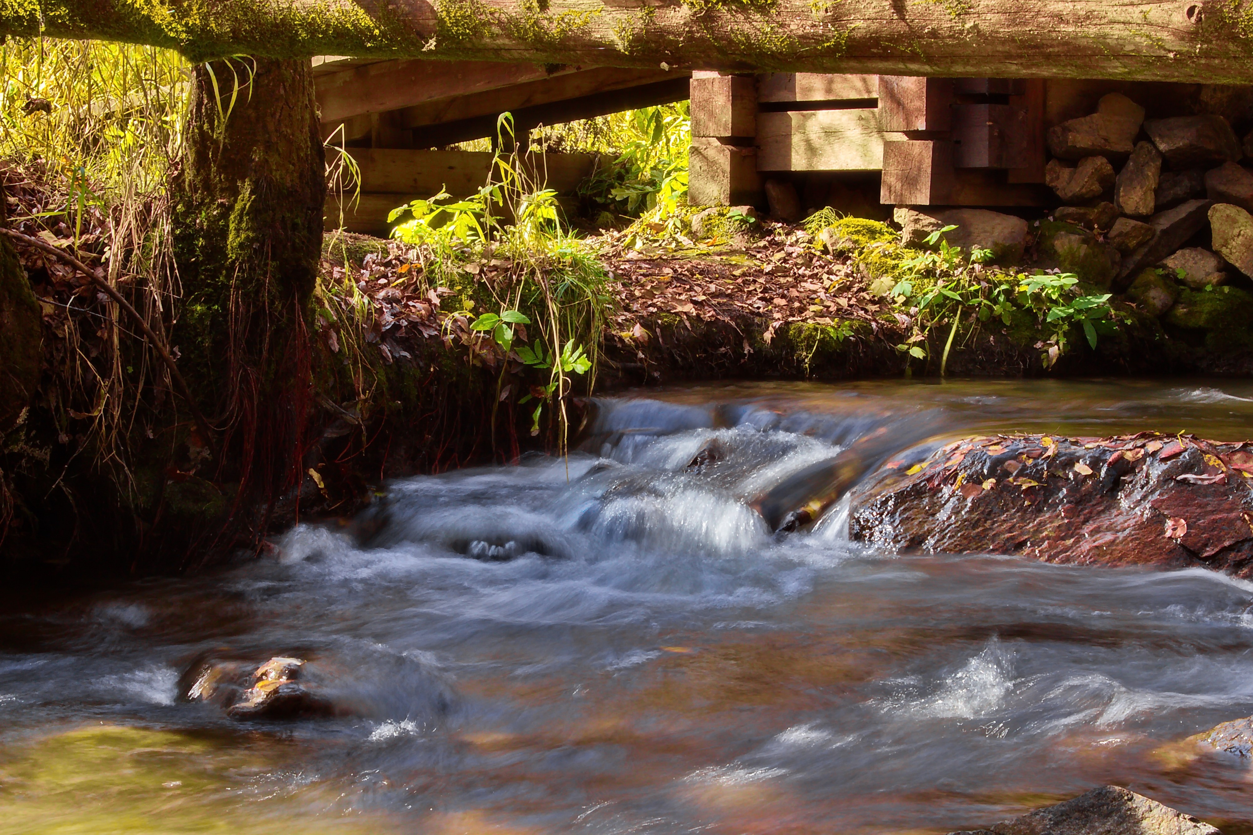 Река Ангасолка