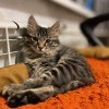 Тепло дали...