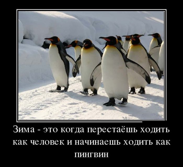 Ходить как пингвин