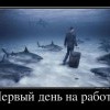 Первый день на работе Первый день на работе