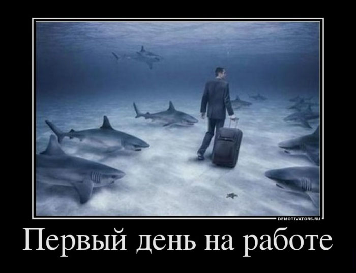 Первый день на работе