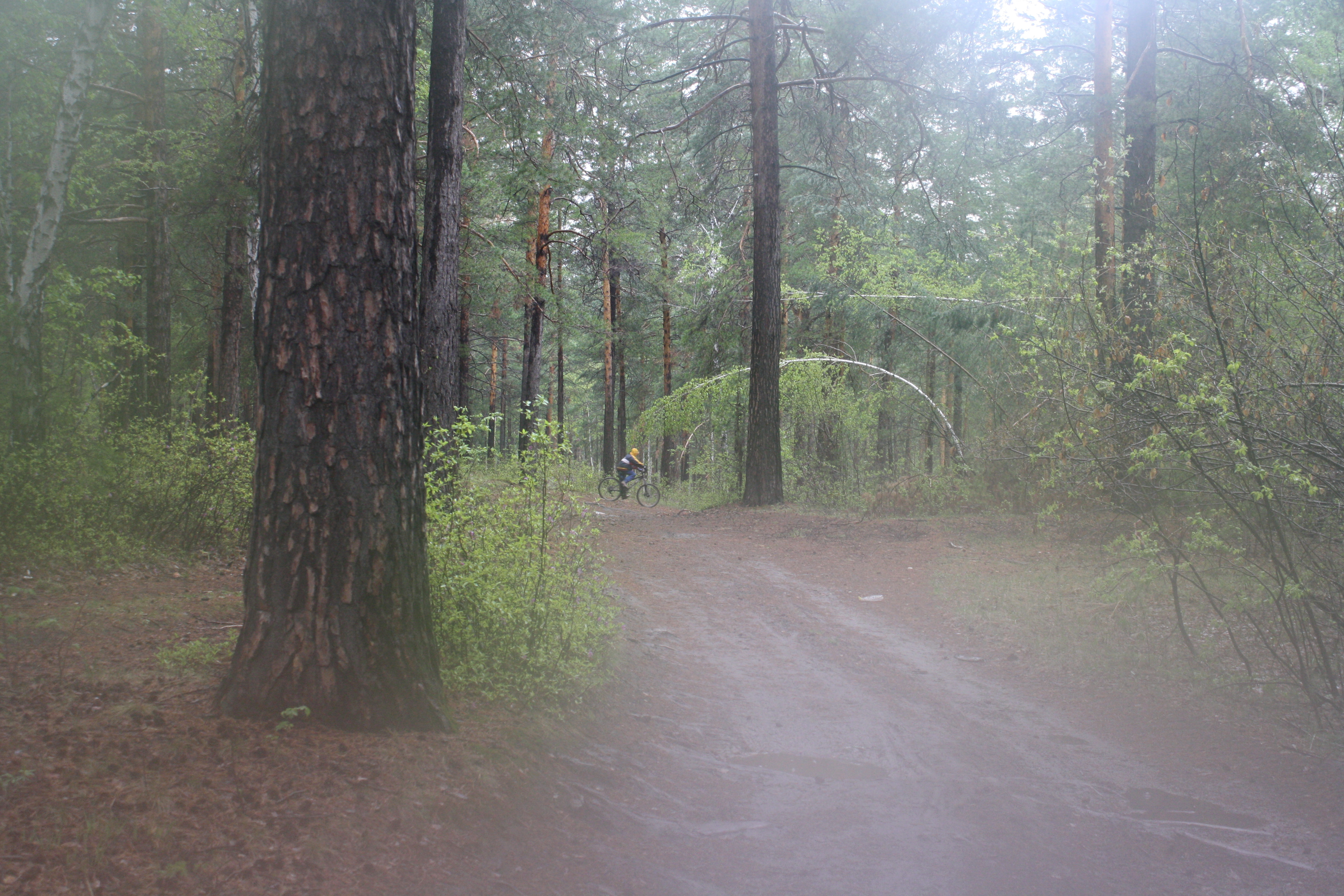запотел объектив
