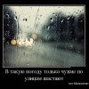 Погода Погода