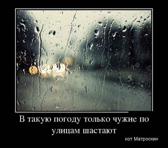 Погода