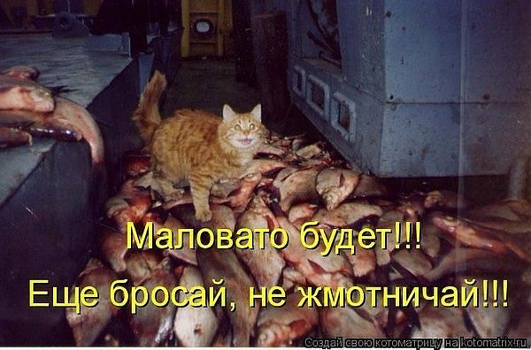 СчастьЁ привалило