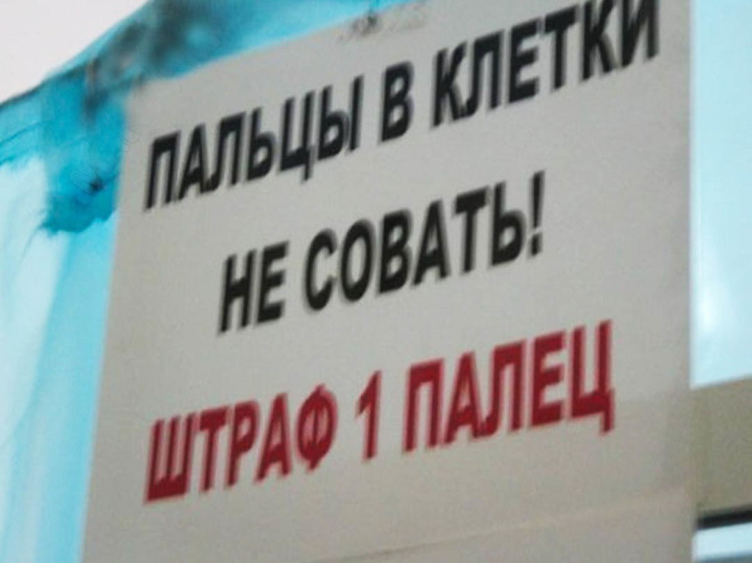 штраф один палец))))))