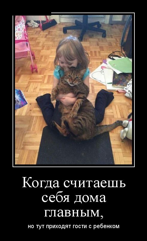 Когда считаешь себя главным в доме