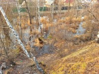там ... у Расцвета)))))