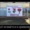 Всё познается в сравнении Всё познается в сравнении