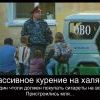 Все курят на халяву