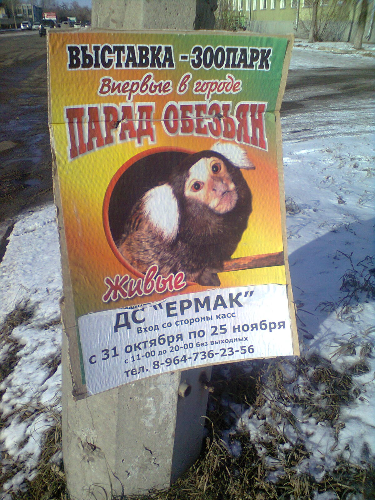 Живые