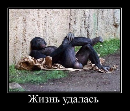 Жизнь удалась...