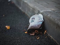 Осенние игры