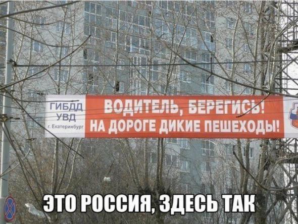 1aaf9458bb3fe2c34713b5e737f prev