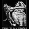Никогда не сдавайся