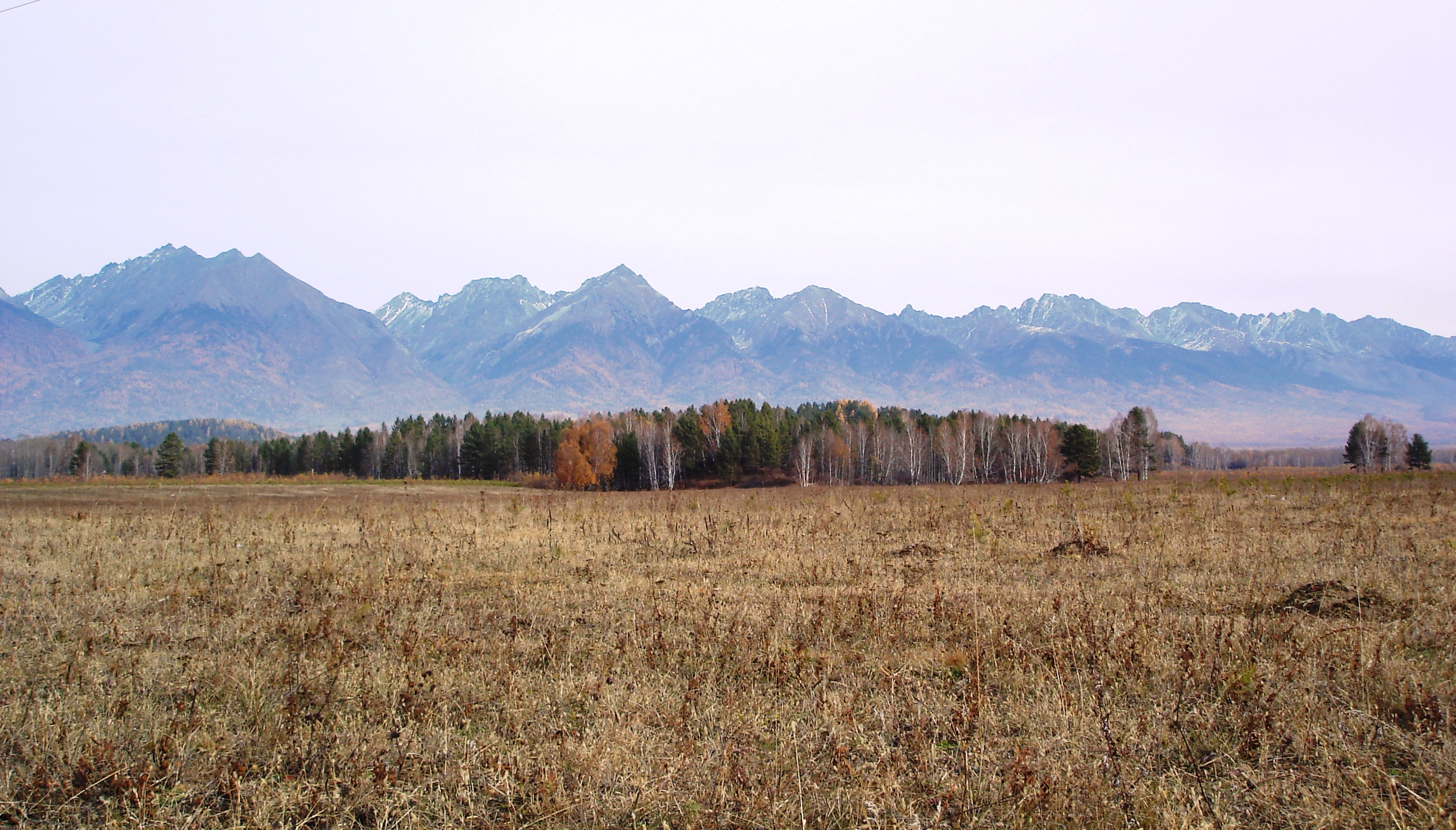 Пленер 2013