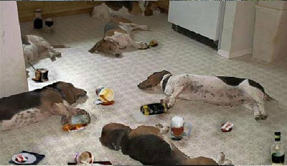 вечер собачей пятницы