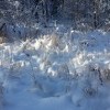 снежные узоры 