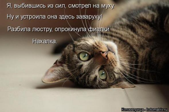 A1d87cc986cd2da9ca52412787b prev