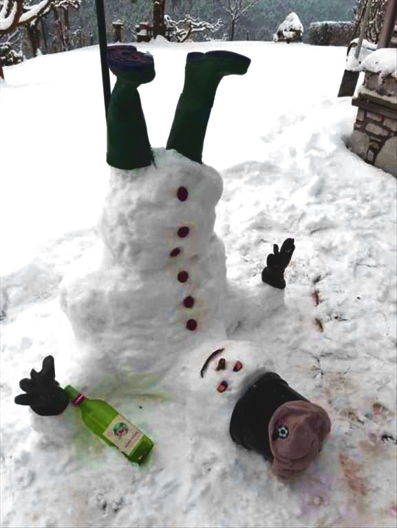 снеговиг-буховиг))))))