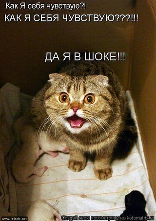Кысо2