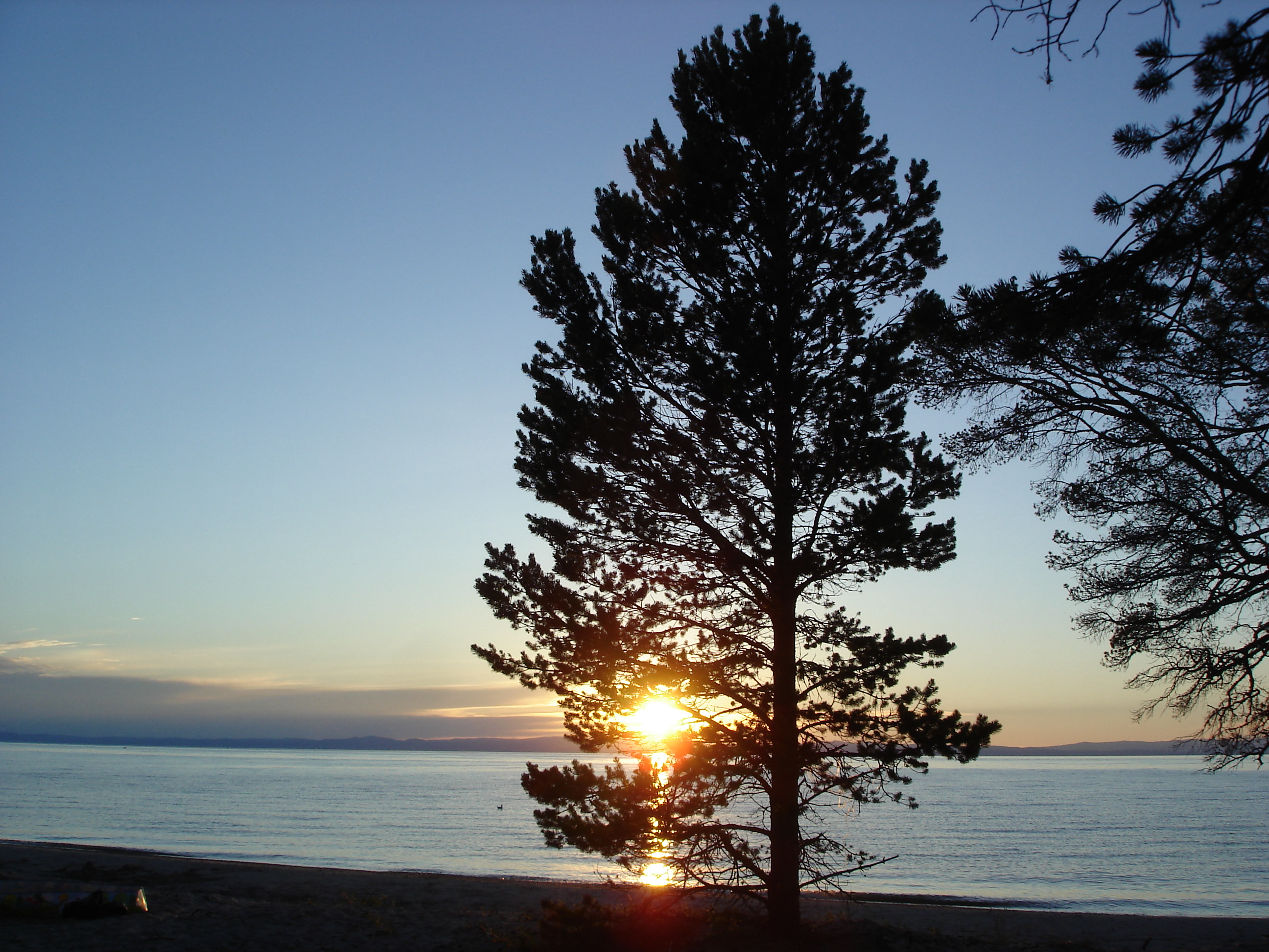 DSC00040