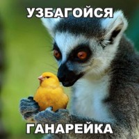 узбагойзя ганарейка))))))