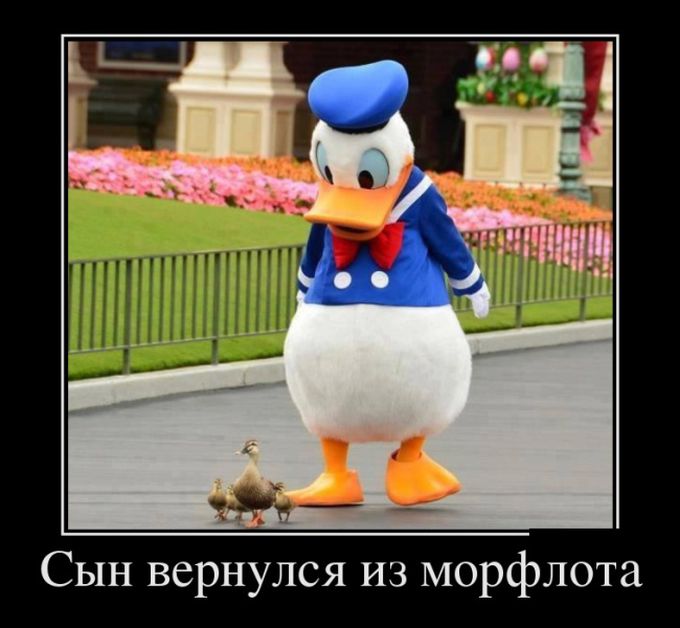 Сын вернулся из морфлота