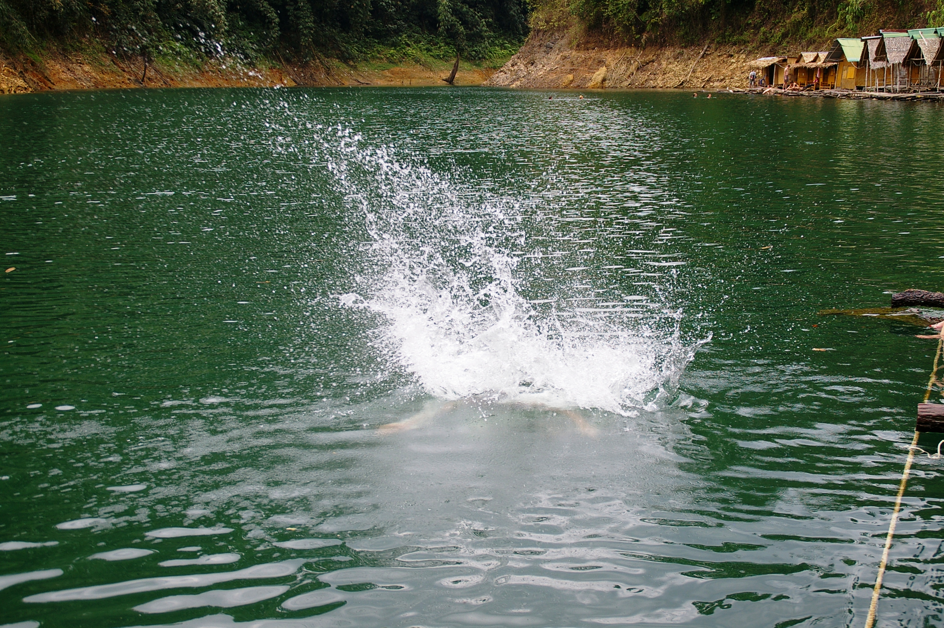ондатра Мазаевская, не иначе, воду мутит
