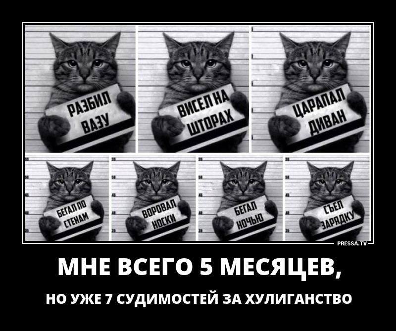 Всего 5 месяцев