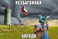 незбагойная багода))))))