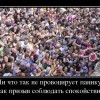 Паника Паника