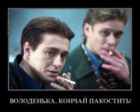 Володенька кончай пакостить!