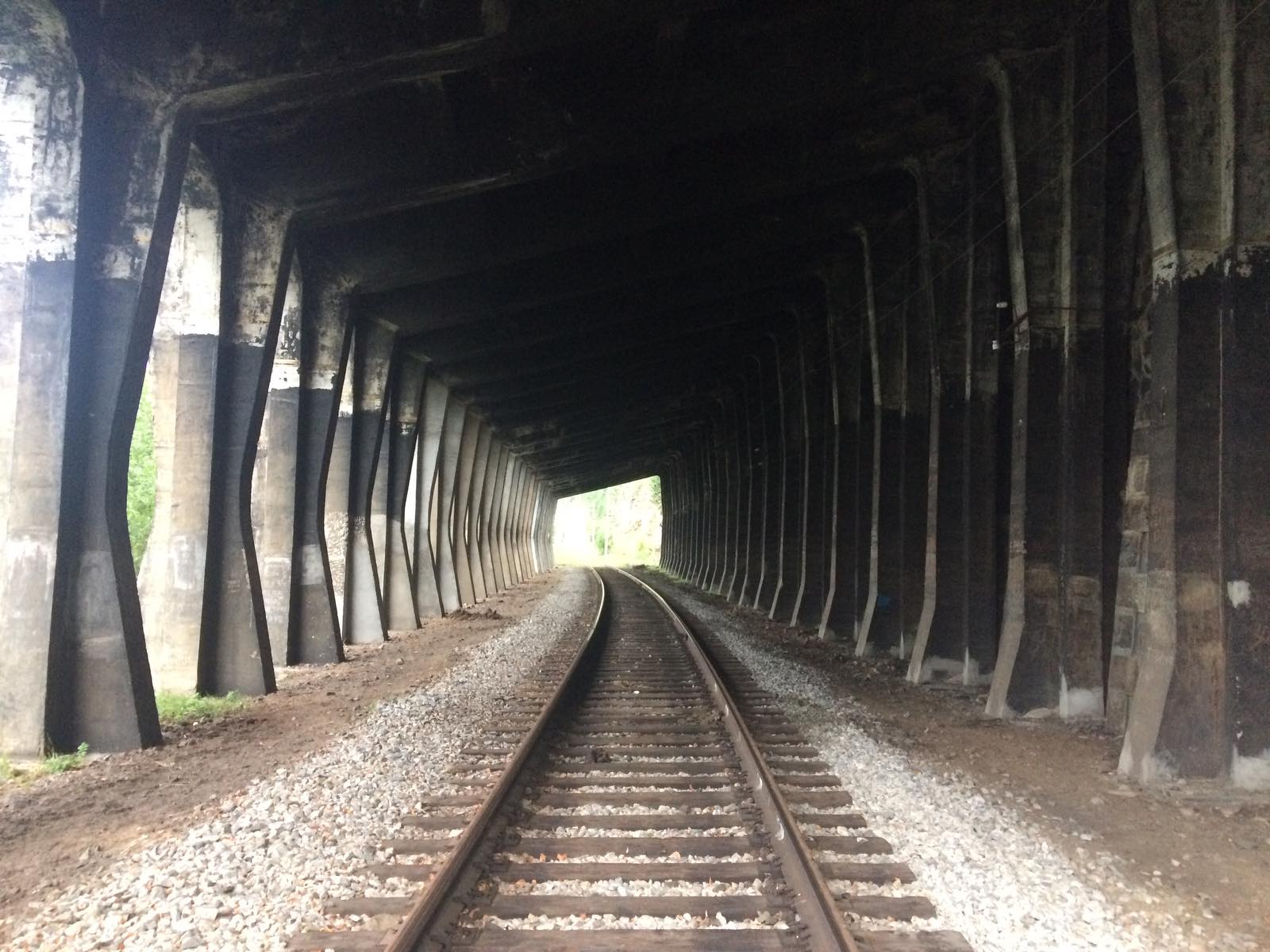 Галерея байкальского эха