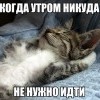 Утро, и никуда не идти Утро, и никуда не идти