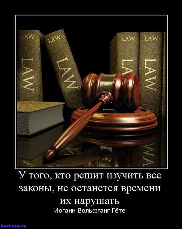 Изучить все законы