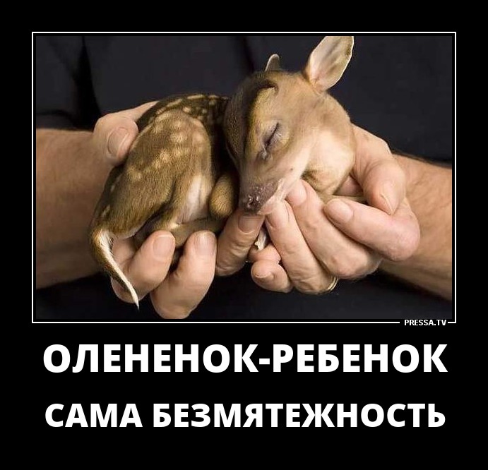 Сама безмятежность