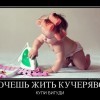 Жить кучеряво