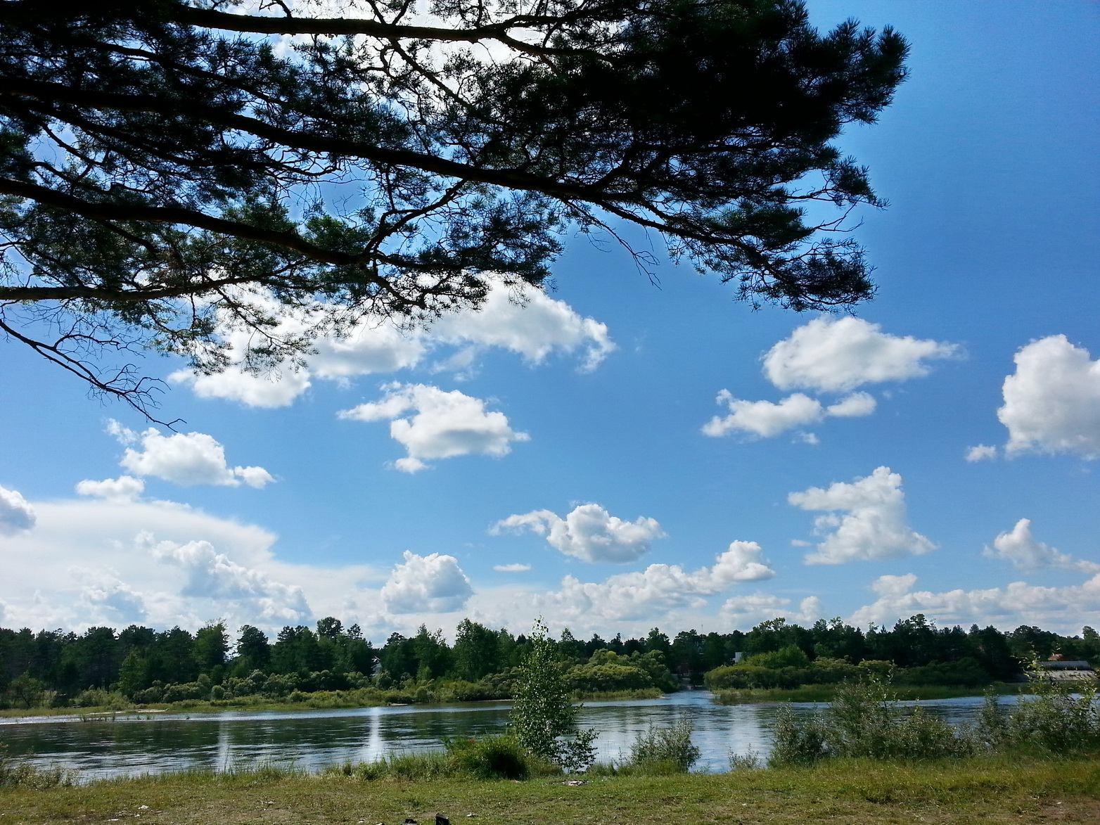 Облака 20130728_155643))))