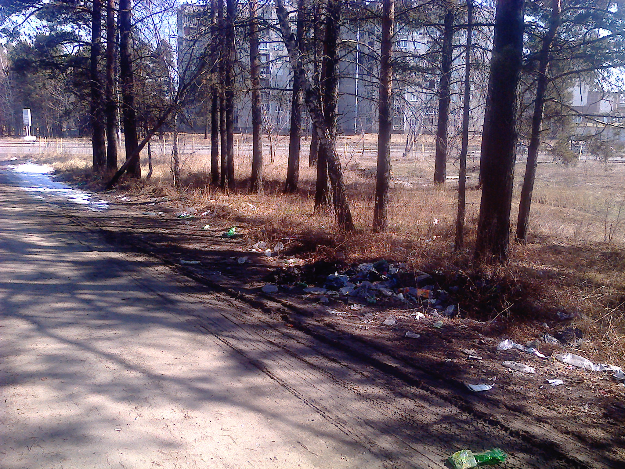 Мусор в отдельно стоящем лесочке в 14 м-не. не убираеится больше трех лет.
