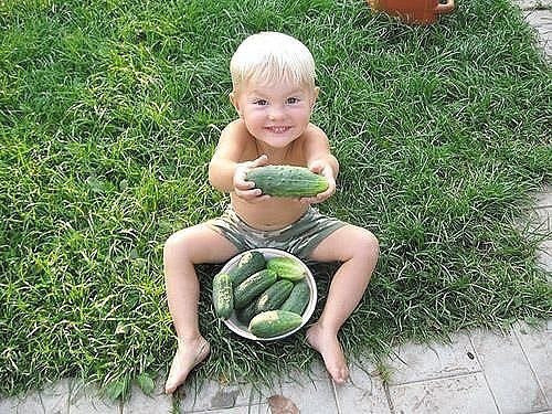 Без названия