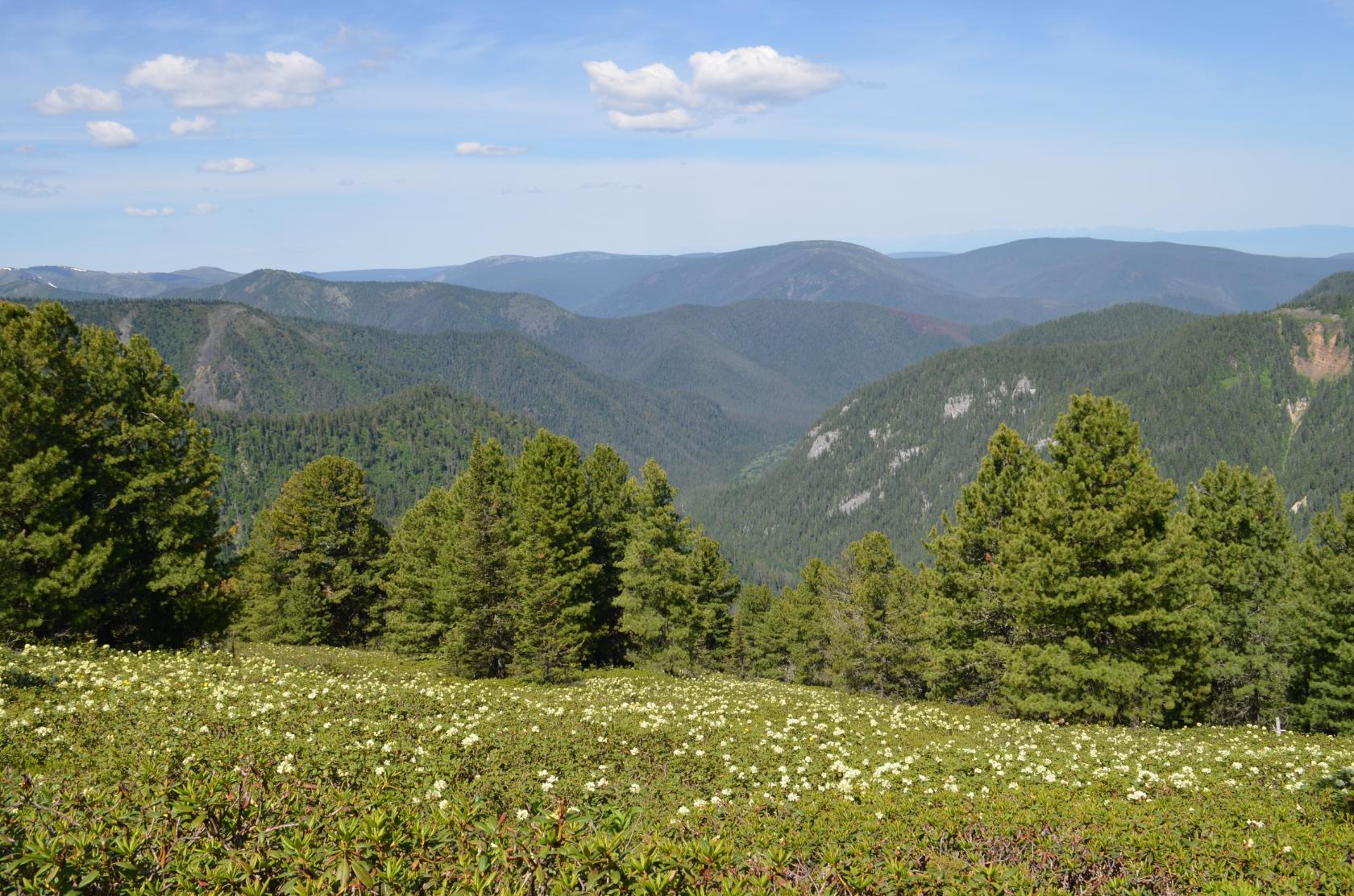Хамар-Дабан 2018