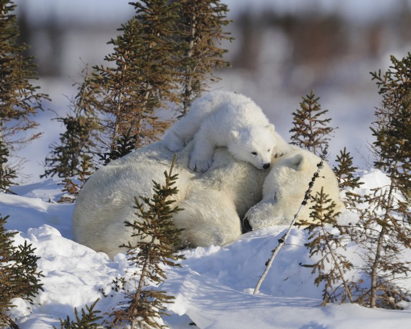 Просто красиво..