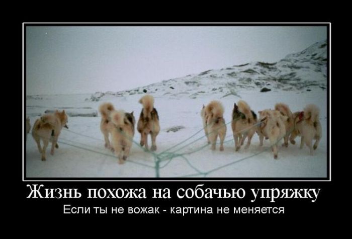 Жизнь...