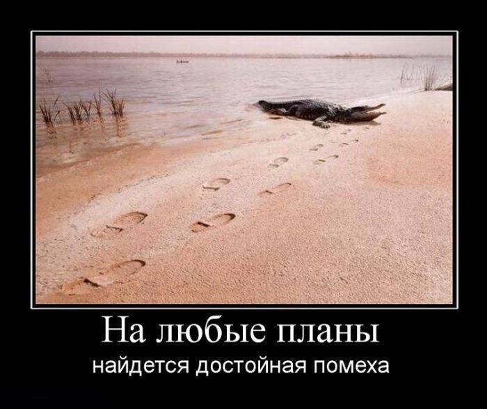 Планы...планировать