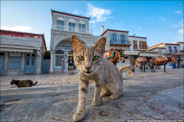 Котэ